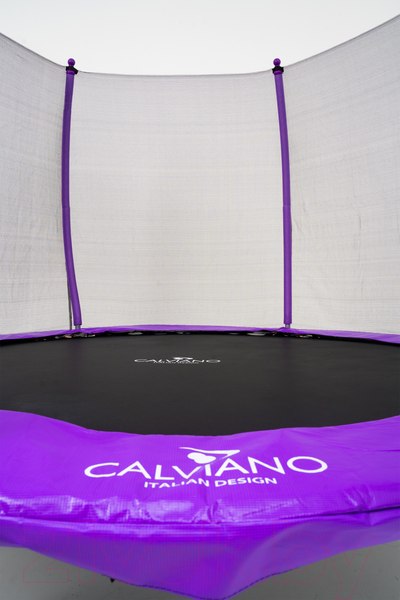 Изображение товара Батут Calviano D-252 (внешняя сетка, лестница, фиолетовый)