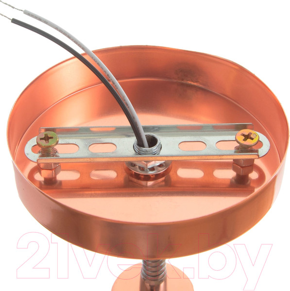 Изображение товара Спот BayerLux Шейни / 9291919 (медь)