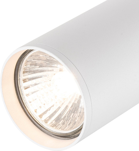 Изображение товара Трековый светильник ESCADA 20001TRA/01 (белый матовый)