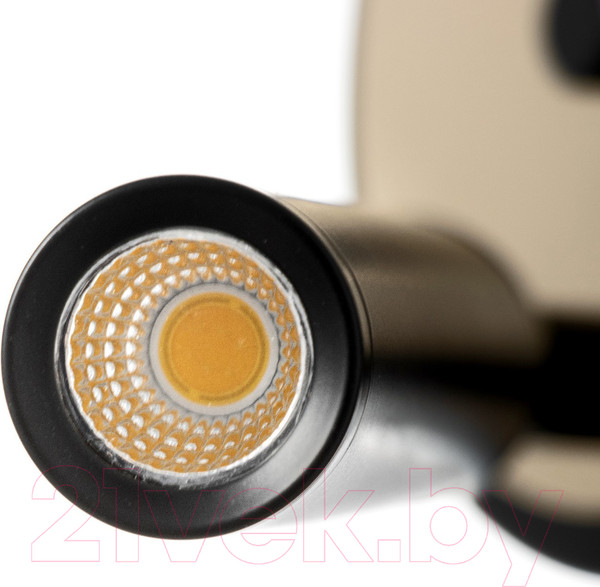 Изображение товара Бра BayerLux Клео / 9626219 (черный)