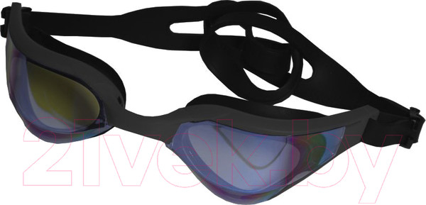 Изображение товара Очки для плавания Atemi Phantom Rider / TPR1GY (серый)