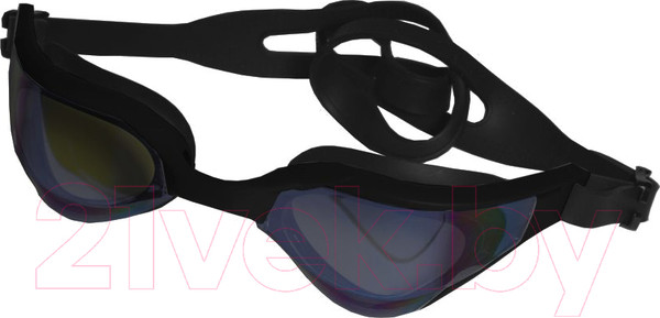 Изображение товара Очки для плавания Atemi Phantom Rider / TPR1BK (черный)