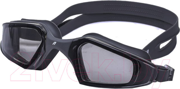 Изображение товара Очки для плавания Atemi True Vision Slide / TTVS1GY (серый)