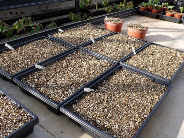 Изображение товара Удобрение GreenTerra Вермикулит вспученный М-150 (100л)