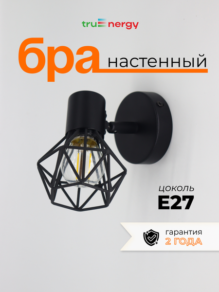 Изображение товара Спот Truenergy 21335