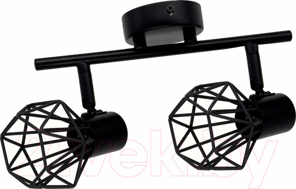 Изображение товара Спот Truenergy 21336