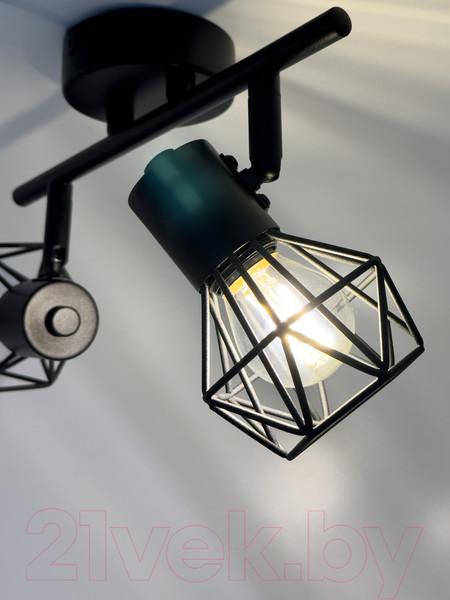 Изображение товара Спот Truenergy 21336