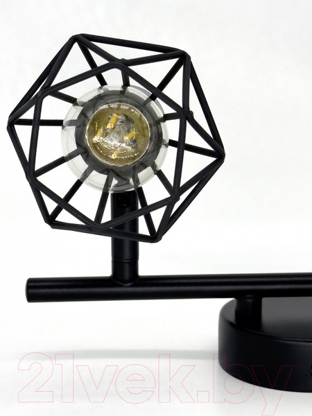 Изображение товара Спот Truenergy 21336