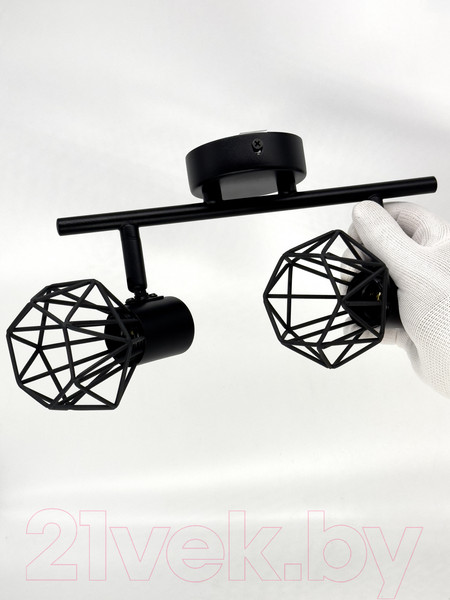 Изображение товара Спот Truenergy 21336