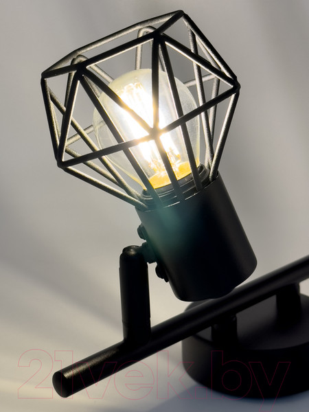 Изображение товара Спот Truenergy 21336