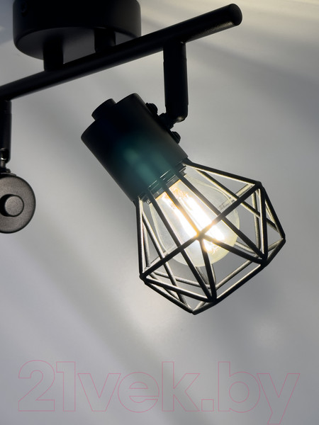 Изображение товара Спот Truenergy 21336