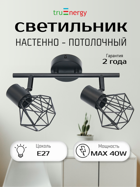 Изображение товара Спот Truenergy 21336