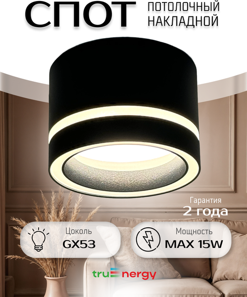 Изображение товара Точечный светильник Truenergy 21043