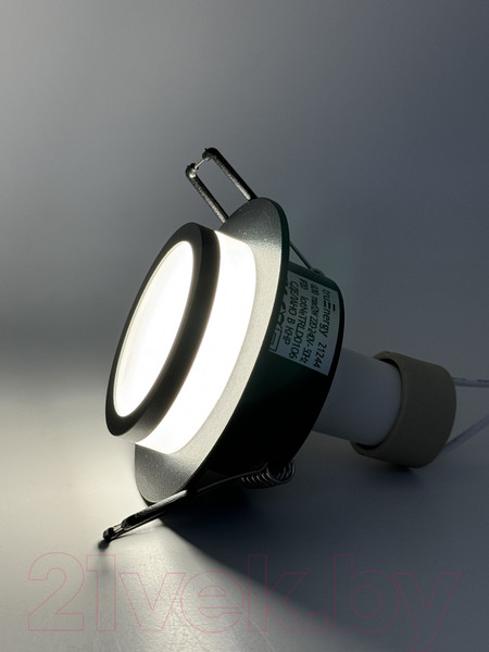 Изображение товара Точечный светильник Truenergy 21244