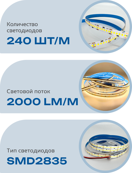 Изображение товара Светодиодная лента Truenergy 24V-240D 19.2W/m 3000K IP20 / 16513 (5м)