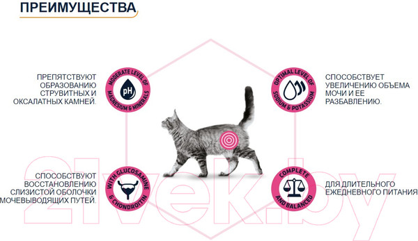 Изображение товара Сухой корм для кошек Advance VetDiet Urinary с курицей (3кг)