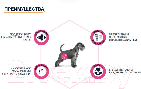 Изображение товара Сухой корм для собак Advance VetDiet Urinary (12кг)