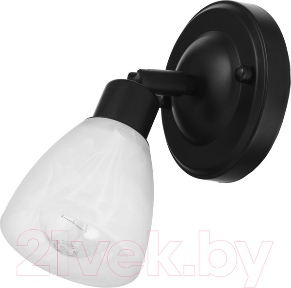 Изображение товара Спот BayerLux 7107486 (черный)
