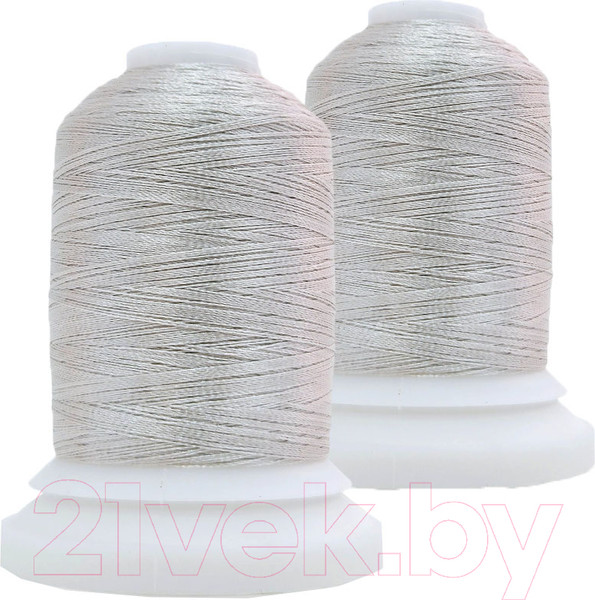 Изображение товара Набор вышивальных ниток Sentex 120D/2 1000 ярд В281 (белесый серый, 2шт)