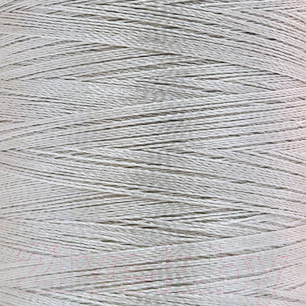 Изображение товара Набор вышивальных ниток Sentex 120D/2 1000 ярд В281 (белесый серый, 2шт)