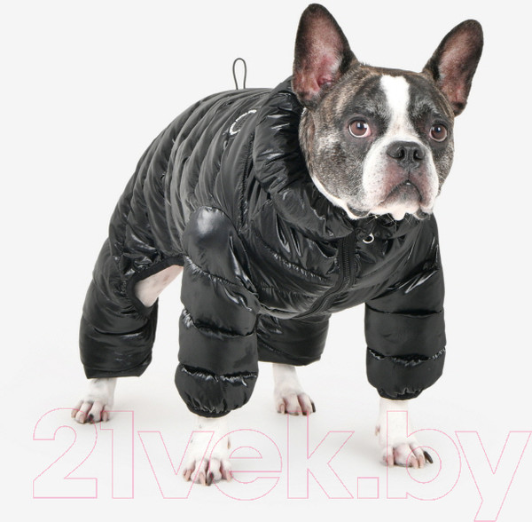 Изображение товара Комбинезон для животных Puppia Glossy AllInOne Jumper / PAXD-JP2069-BK-L (черный)