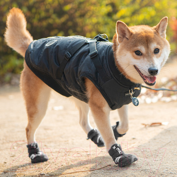 Изображение товара Кеды для собак Puppia Hiker / PAMD-SH065-BK-XXL (черный)