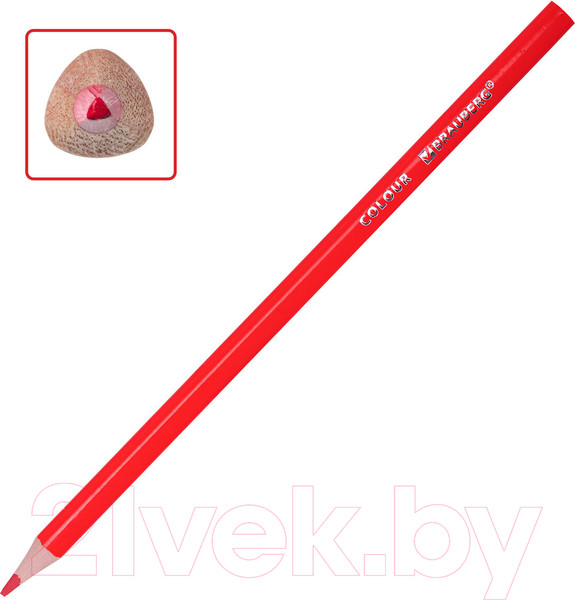 Изображение товара Набор цветных карандашей Brauberg Kids / 182004 (50цв)