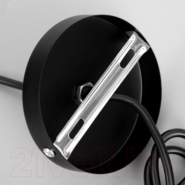 Изображение товара Потолочный светильник BayerLux Пума / 9951778 (черный)