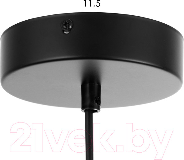 Изображение товара Потолочный светильник BayerLux Скин / 9919703 (черный)