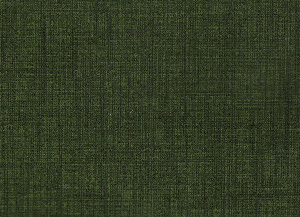 Изображение товара Полуторная кровать Moon Family 1234 / MF011587