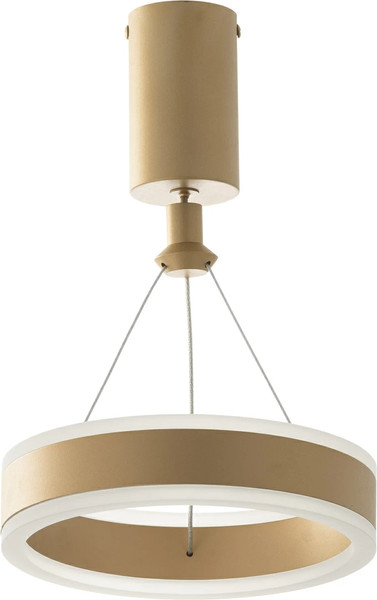 Изображение товара Потолочный светильник Citilux Дуэт CL719012