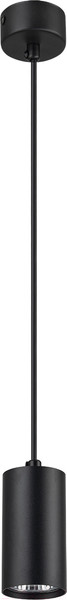 Изображение товара Потолочный светильник ESCADA 20001SMP/01 SBK (черный матовый)