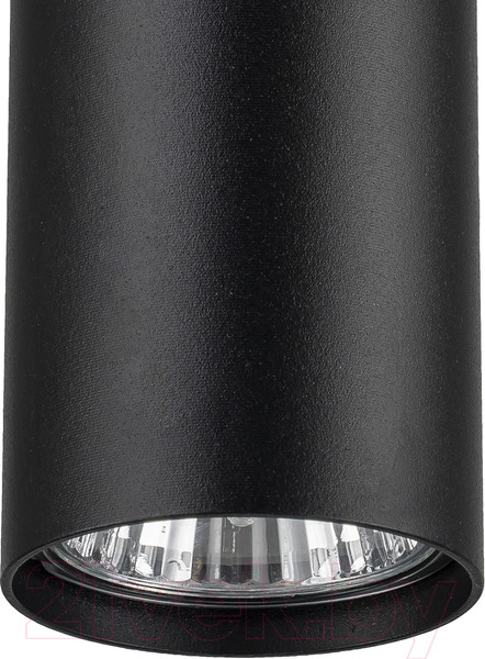 Изображение товара Потолочный светильник ESCADA 20001SMP/01 SBK (черный матовый)