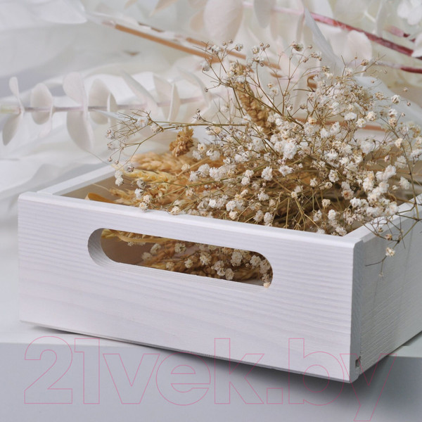 Изображение товара Поднос Dipriz Д.7570.2 (белый бейц)