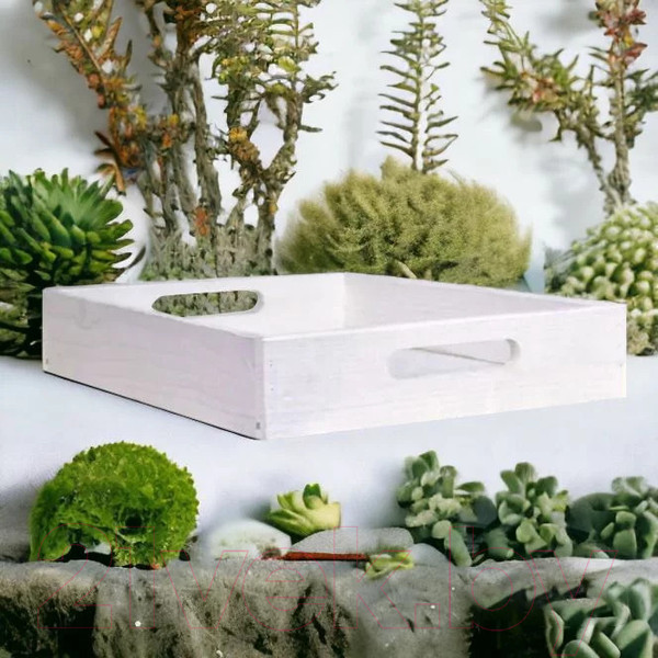 Изображение товара Поднос Dipriz Д.7570.2 (белый бейц)