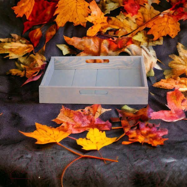 Изображение товара Поднос Dipriz Д.7570.3 (серый бейц)