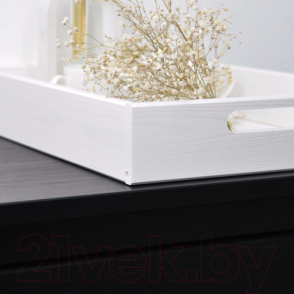 Изображение товара Поднос Dipriz Д.7571.2 (белый бейц)