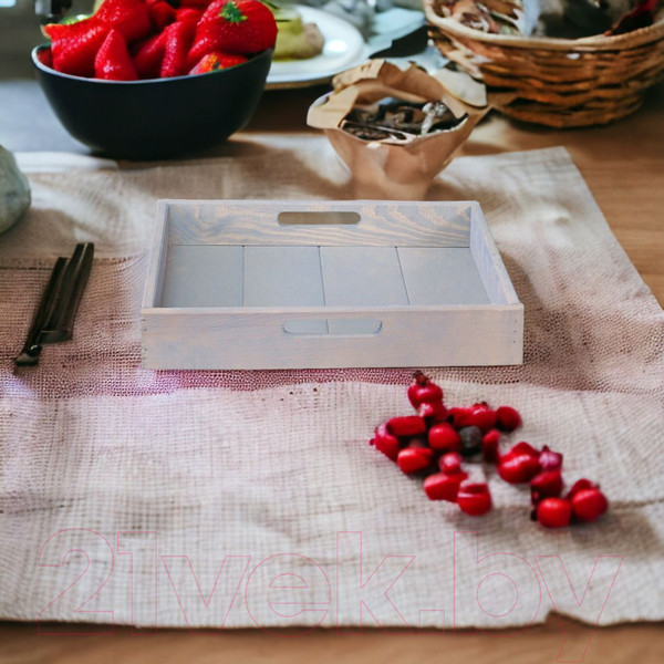 Изображение товара Поднос Dipriz Д.7571.3 (серый бейц)