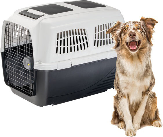 Изображение товара Переноска для животных Ferplast Clipper 5 Plus / 73125021