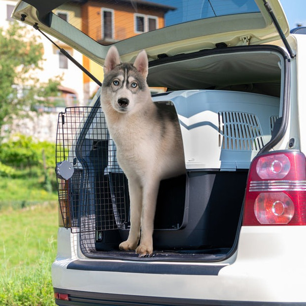 Изображение товара Переноска для животных Ferplast Clipper 7 Plus / 73127021