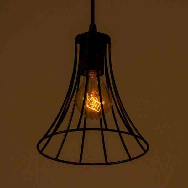 Изображение товара Потолочный светильник BayerLux Чилли / 9626308 (черный)