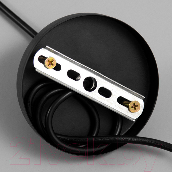 Изображение товара Потолочный светильник BayerLux Чилли / 9626308 (черный)