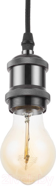 Изображение товара Потолочный светильник BayerLux Эдиссон / 9468731 (черный хром)