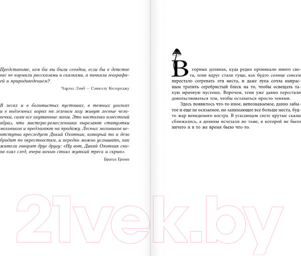 Изображение товара Книга АСТ Квендель. Книга 1. Сумрачный лес / 9785171614447 (Роннефельдт К.)