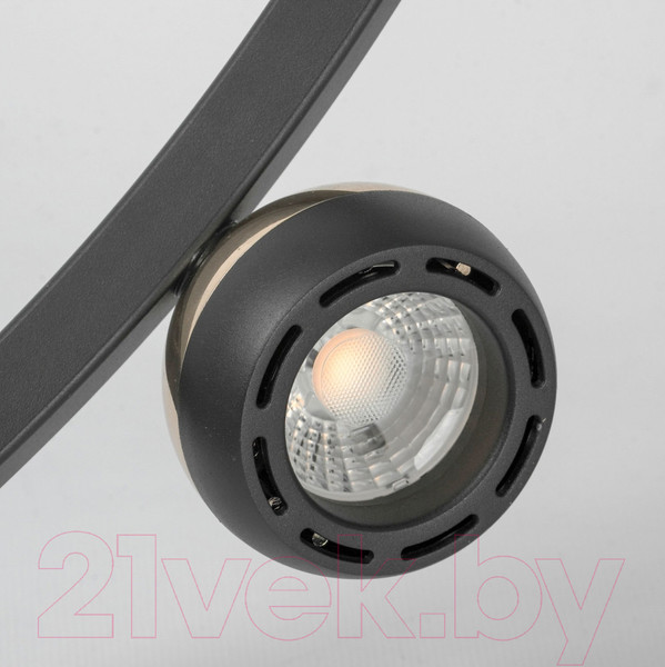 Изображение товара Люстра Lussole Lassen LSP-7253