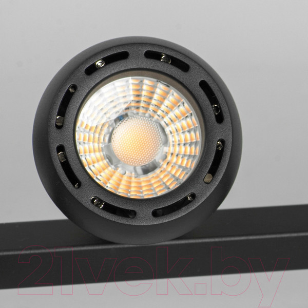 Изображение товара Люстра Lussole Lassen LSP-7254