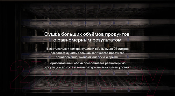 Изображение товара Сушильный шкаф для овощей и фруктов Garlyn D-06