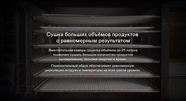 Изображение товара Сушильный шкаф для овощей и фруктов Garlyn D-06 Pro