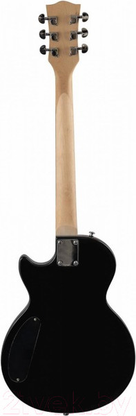 Изображение товара Электрогитара Terris TLP-045 BK