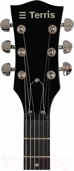 Изображение товара Электрогитара Terris TLP-045 BK